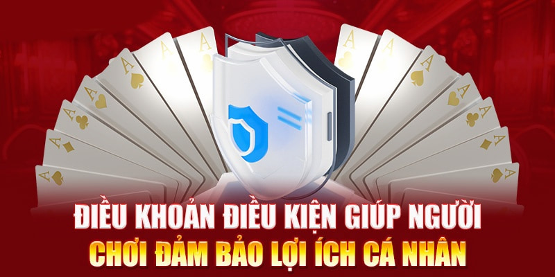 Thông tin chi tiết về điều khoản điều kiện dành cho hội viên