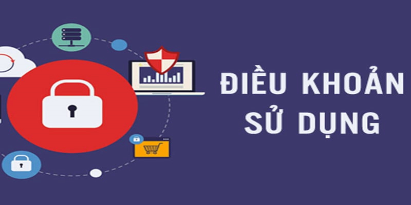 Những trường hợp vi phạm sẽ không được phép sử dụng dịch vụ