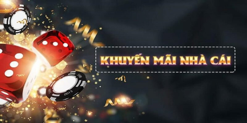Tràn ngập các ưu đãi luôn được tổ chức tại đơn vị giúp hội viên tăng tính trải nghiệm